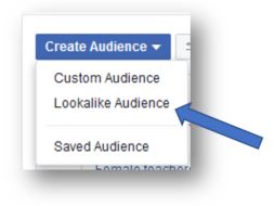 fb lookalike audience set up