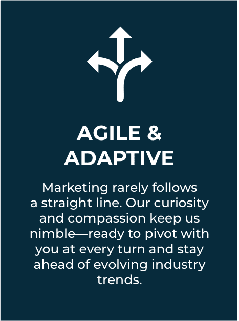 Agile and adaptive marketing